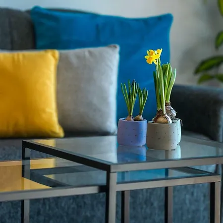 Apartment Summer Experience